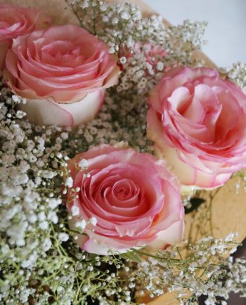 Ramo de rosas "Esperance"