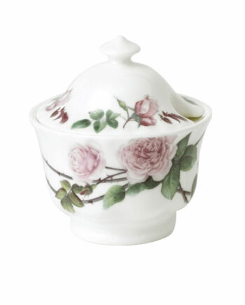 Azucarero  "English Rose Austin"