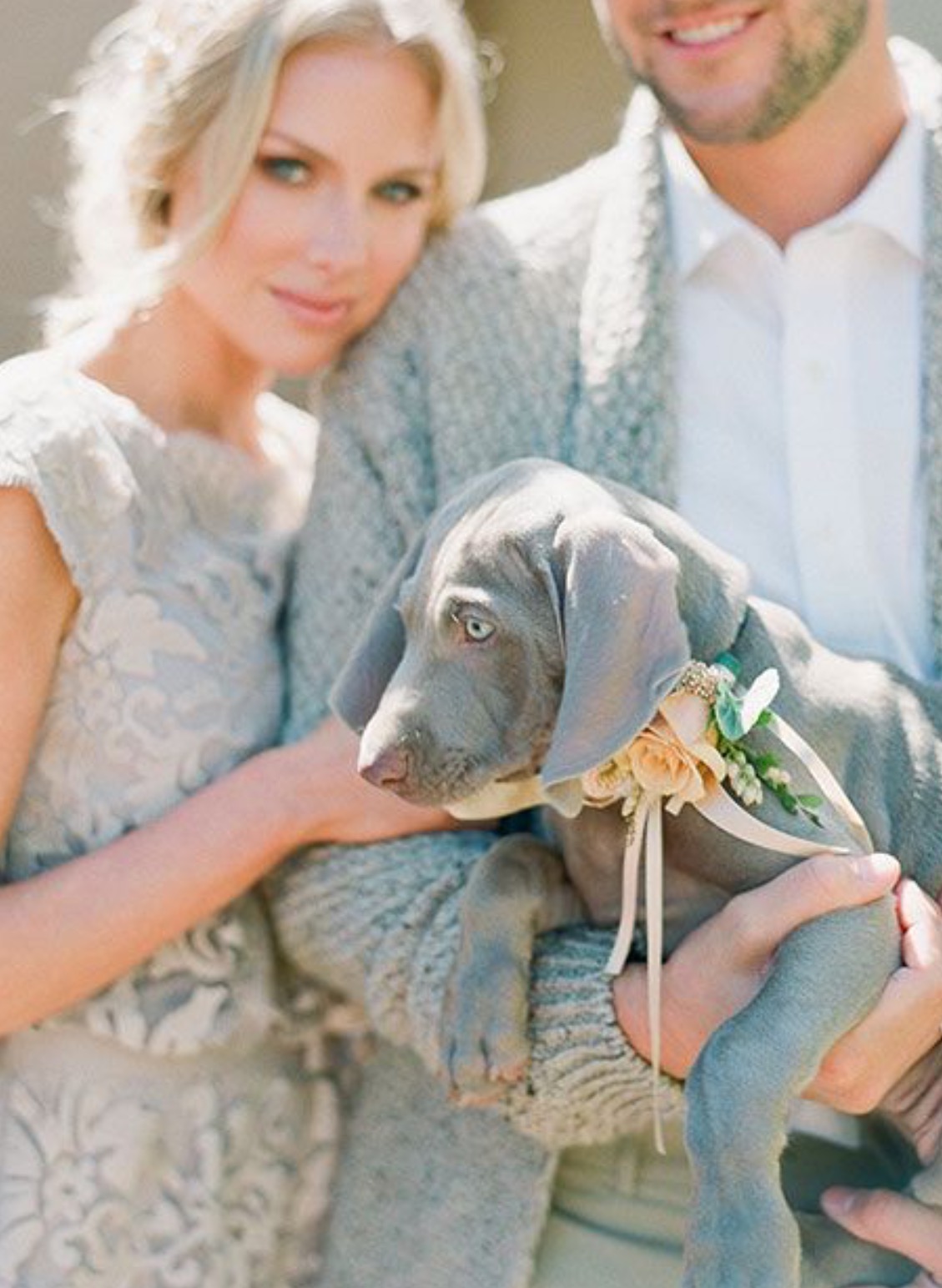 Pareja y perro